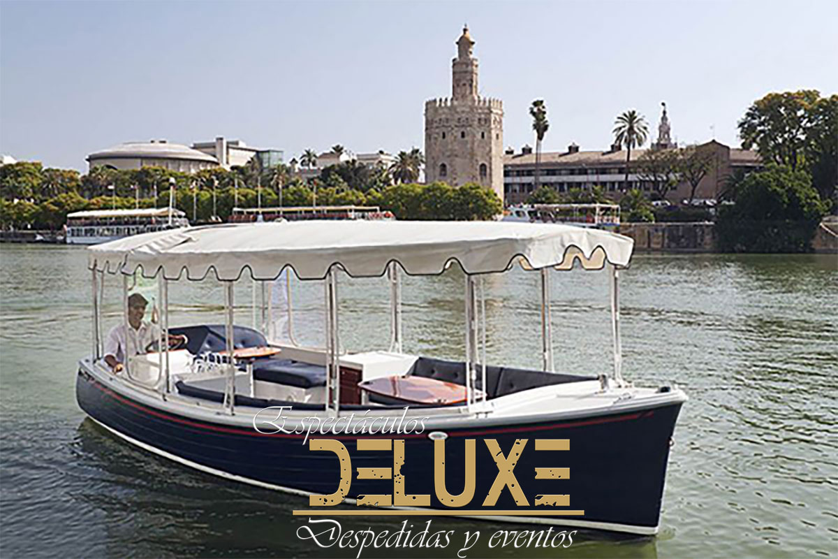 Alquiler de barco ecólogico Sevilla